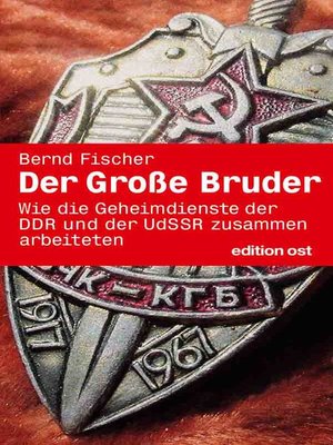 cover image of Der große Bruder